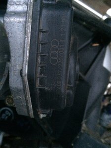 IMG_3019.JPG