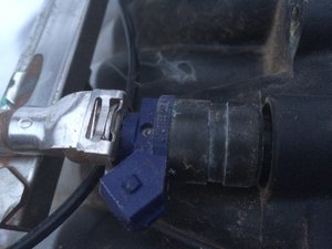 IMG_3021.JPG