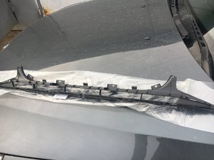 IMG_0200.JPG