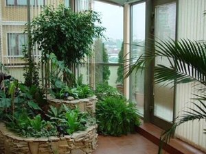 IMG_1792.jpg