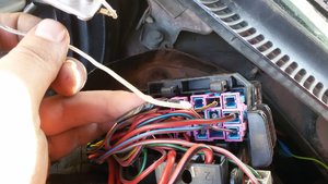 20170404_122337.jpg