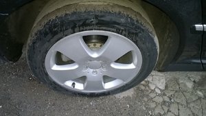 WP_20160523_074.jpg