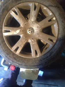IMG_3052-11-04-17-12-44.jpeg