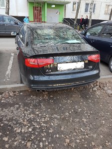 20170411_175203.jpg