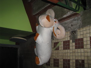 IMG_0803.JPG