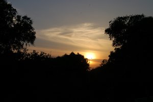 DSC_0402.JPG