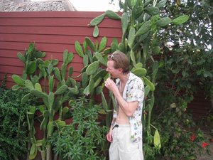IMG_0103.JPG