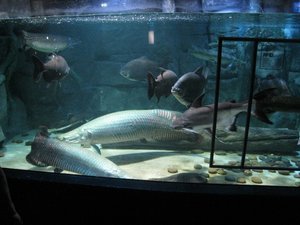 IMG_0167.JPG