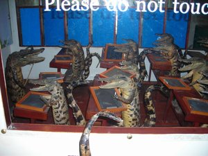 DSCN1278.JPG