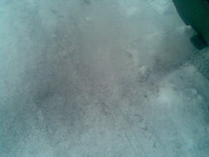 12032009(001).jpg