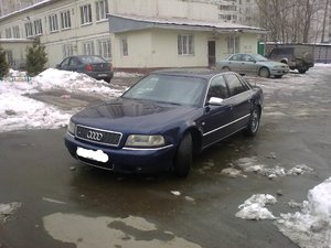 14032009012.jpg