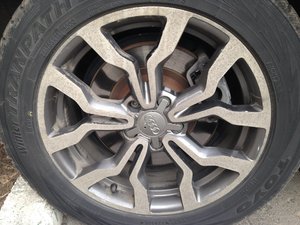 IMG_3929.JPG