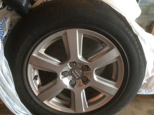 c51c5c6s-960.jpg