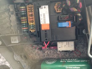 IMG_1513.JPG