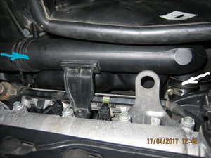 InkedIMG_2056_LI.jpg