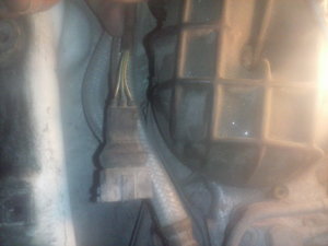 CAM00558.jpg