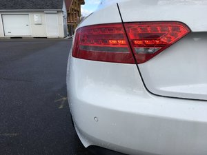 IMG_1184.JPG