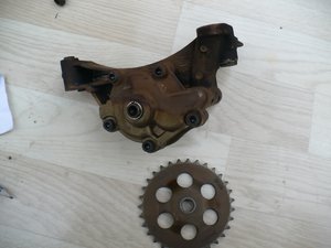 35.jpg