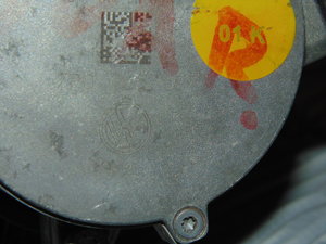 DSC09062.JPG