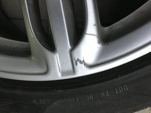 IMG_8996.JPG