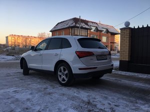 IMG_9500.JPG