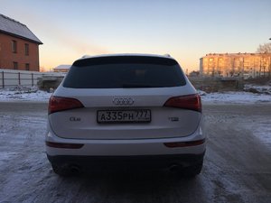 IMG_9503.JPG