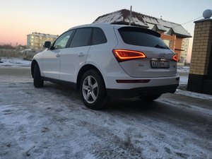 IMG_9515.JPG