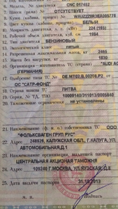 IMG_1979.PNG