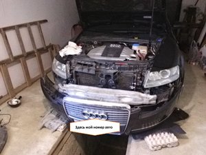 IMG_20170427_115804.jpg