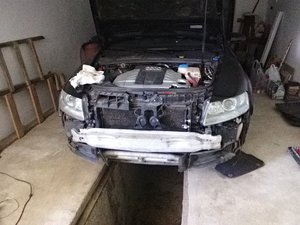IMG_20170427_125223.jpg