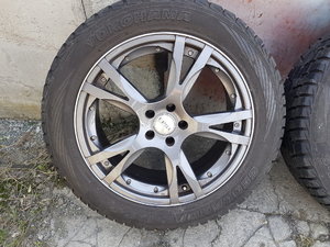 20170428_121257.jpg