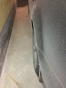 20170501_042426232_iOS.jpg