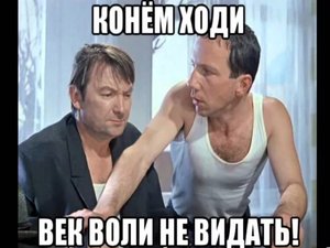 IMG_2896.jpg