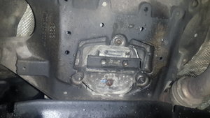 20170501_103725.jpg