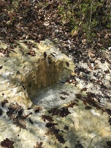 IMG_2182.JPG