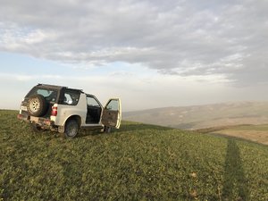 IMG_2136.JPG