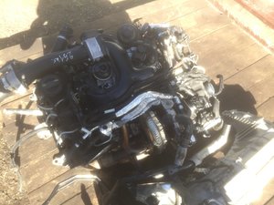 IMG_4868-04-05-17-10-26.JPG