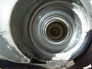 P1020110.JPG