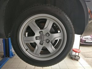 IMG_20170509_113038.jpg