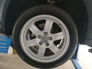 IMG_20170509_113046.jpg