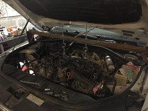 IMG_9720-13-05-17-07-59.JPG