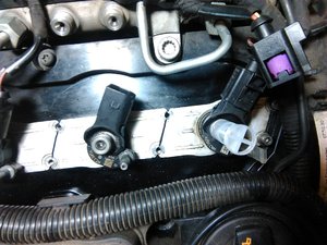 IMG_20170513_083820.jpg