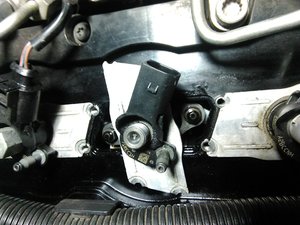 IMG_20170513_084007.jpg