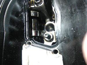 IMG_20170513_084451.jpg