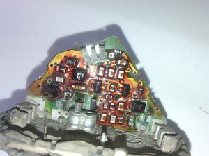 IMG_20170517_153334.jpg