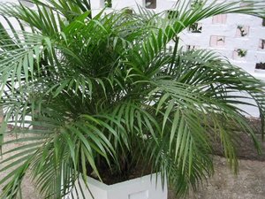 IMG_2983.jpg