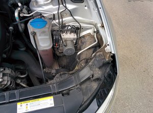 IMG_20170519_065031.jpg