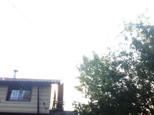 IMG_2990.jpg