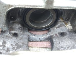 IMG_20170519_171913.jpg