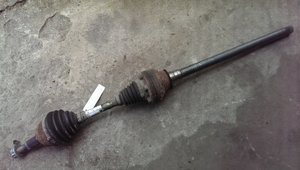 IMAG0091.jpg